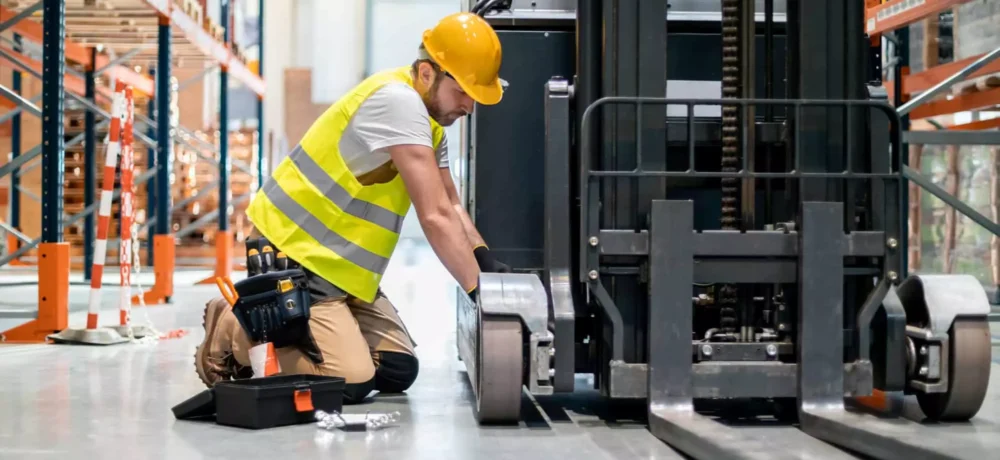 Servicios Especializados 